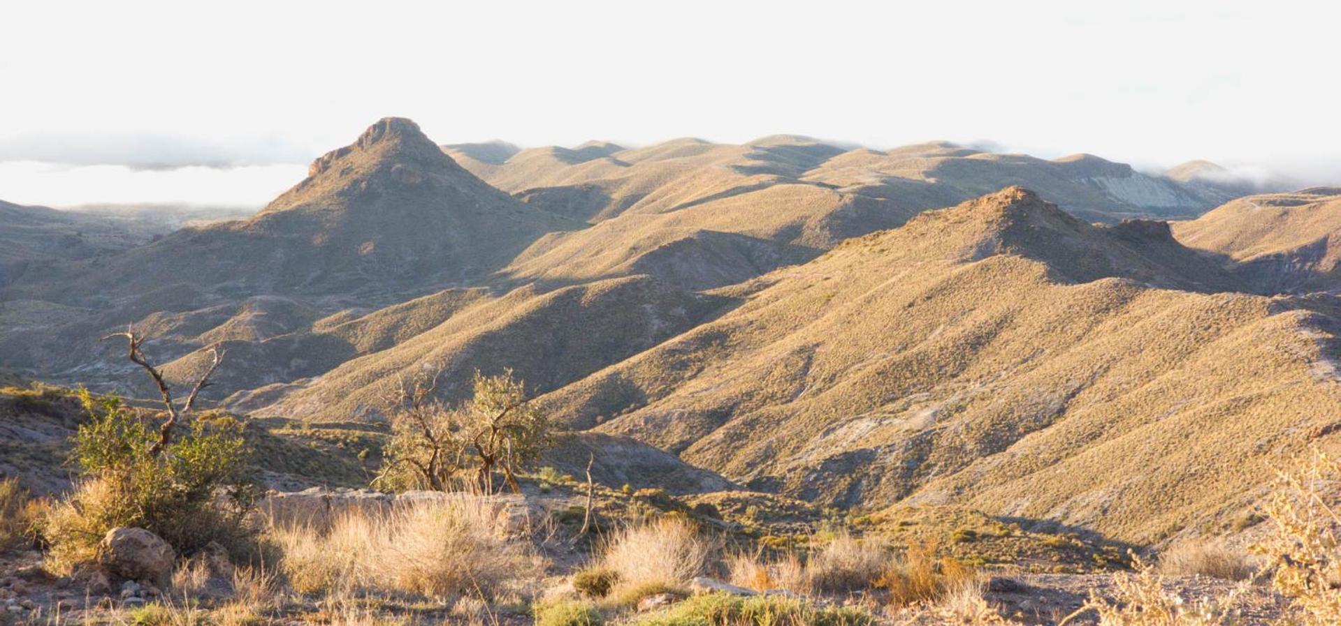 Cortijo El Albaricoque De La Sierra - De 75 Hectareas ! *